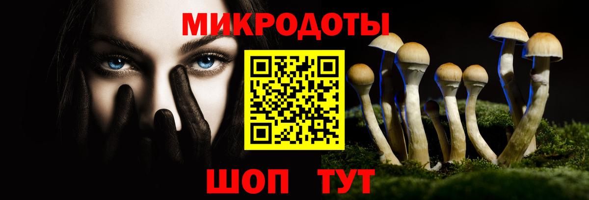 Галлюциногенные грибы GOLDEN TEACHER  Вход с VPN  Азнакаево 